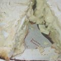 El cooksnap de Yanina Leiva cuando hizo Tarta de cebolla y queso 🧅 🧀.