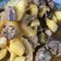 Cooksnap dari dara untuk resep Ati ampela kentang masak kecap