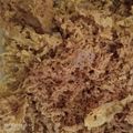 Cooksnap dari Titian Maya untuk resep Kremes ayam bumbu racik (takaran sendok)