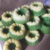 Cooksnap dari Sakli Abdi untuk resep *APEM KUKUS TEPUNG TERIGU*