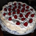 Barbara Kovácsné Béres Barbi Cooksnap-ja, amikor elkészítette a(z) Pavlova 🎂 málnás csokis receptet.