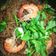 รูป Cooksnap ของ Pattaraphon Na Bangsai เมื่อเขาทำ หมู กุ้ง อบวุ้นเส้น