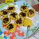 Cooksnap dari bunda ajeng untuk resep Kue Cubit (no mixer)