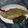 富 的 乾煎魚 cooksnap