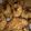 El cooksnap de claudia ortiz cuando hizo Galletas de Avena y Banana.