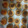 El cooksnap de xacate cuando hizo Galletas de leche condensada.