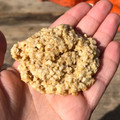 El cooksnap de Florencia Castro Tomás cuando hizo Galletitas Saludables de Avena y Limón ❤️.