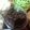 Cooksnap dari Stevy Hutabarat untuk resep Cookies goodtime sederhana