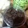Cooksnap dari Stevy Hutabarat untuk resep Cookies goodtime sederhana