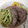 El cooksnap de Alma Nava cuando hizo Costilla en su jugo.