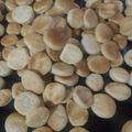 El cooksnap de May Quintana cuando hizo Bizcochitos de grasa "Para la hora del mate".