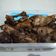 Cooksnap dari Dinnia untuk resep Ayam Bacem Goreng