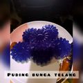 Cooksnap dari Intan Lianti untuk resep Puding Bunga Telang