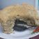 Cooksnap dari Eka Wurya untuk resep Bolu pisang(susu) kukus