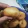 Cooksnap dari Monalysa Yosafina Nainggolan untuk resep Donat Kentang Empuk