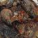 Cooksnap dari andiannisanhyd untuk resep Tongkol Sambal Tomat 
