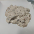 El cooksnap de Rut Borillo cuando hizo Hígado al estilo Strogonoff.