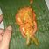 Cooksnap dari Dewi Y untuk resep Pepes Bandeng Presto