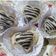 صورة من 🍓🇩🇿Sweet Fresa🍓، شاركها بعد تجربة وصفة قلوب الشوكولاتة البيضاء