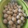 Cooksnap dari Riaty Arfiany untuk resep Bakso Tempe