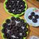 Cooksnap dari Santi Djap untuk resep Brownies kukus mini ekonomis nyoklat dan lembut banget