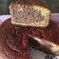 El cooksnap de Brisa Friz cuando hizo Bizcochuelo marmolado🥧😁.