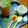 chitra bansal's cooksnap of when they made Sattu drink (chane ka sattu).