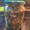El cooksnap de Azu Lina cuando hizo Berenjenas al escabeche!!es bien🇦🇷 para acompañar carnes asada.