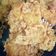Cooksnap dari Liesnha Liesna Lisna untuk resep Tempe Goreng Krispi