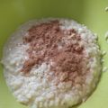 El cooksnap de fertchus cuando hizo Arroz con leche 🍚 fácil rápido y cremoso 👌 voy.