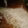 El cooksnap de Hector Giacaman cuando hizo Pizza con Muzzarella.