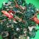 Cooksnap dari Yulia Achmad untuk resep Tumis Daun KELOR (Marungga)