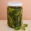 Cooksnap από Athina στη συνταγή Φρέσκος βασιλικός όλο το χειμώνα