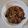 Cooksnap dari Reni Ratna sari untuk resep Ayam kecap saos tiram...yummmi