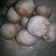 Cooksnap dari Dhaniechel Sugiartoyo untuk resep Donat Ketan. Jajanan Tradisional Korea Jaman Dulu #Recook
