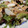 El cooksnap de Carmem cuando hizo Ensalada con pechugas de pollo y kiwi.