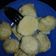 Cooksnap dari nurafnirifai untuk resep Bakso Ayam