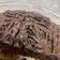 صورة من Ruba ، شاركها بعد تجربة وصفة كيكة النوتيلا 👍😋🍫