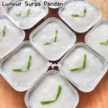 Cooksnap dari Nita Puspita untuk resep Resep kue lumpur surga pandan