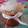 El cooksnap de cynthiapucheta cuando hizo Pan dulce navideño integral.
