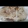 Priyanshi345 का कुकस्नैप जब उन्होंने तवा नान (tawa naan recipe in Hindi) बनाया था।