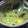 Cooksnap dari Mama TrioBagus untuk resep Gulai Kepala Tongkol
