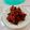 Cooksnap dari Sherlye Lim untuk resep Ayam Saus Mentega (recook #Ekitchen) #ketopad_cp_ekitchen