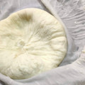 Urmi Desai's cooksnap of when they made મલાઈ ની છાસ માંથી પનીર (Paneer Recipe In Gujarati).