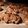El cooksnap de Mariela Ottaviani cuando hizo Galletas de avena y pera.