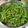林嘉貞 的 蒜香椒鹽四季豆 / 銅板家常菜 cooksnap