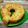 Cooksnap dari Nia untuk resep Cake Tape/Fermented Cassava Cake
