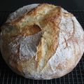 Hiroko Liston's cooksnap of when they made Overnight Proofing Plain Flour Rustic Bread.