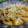 El cooksnap de TamaraDiaz16 cuando hizo Guiso de carne y fideos súper express.