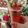 Payal Thakur's cooksnap of when they made Strawberries and Watermelon juice.